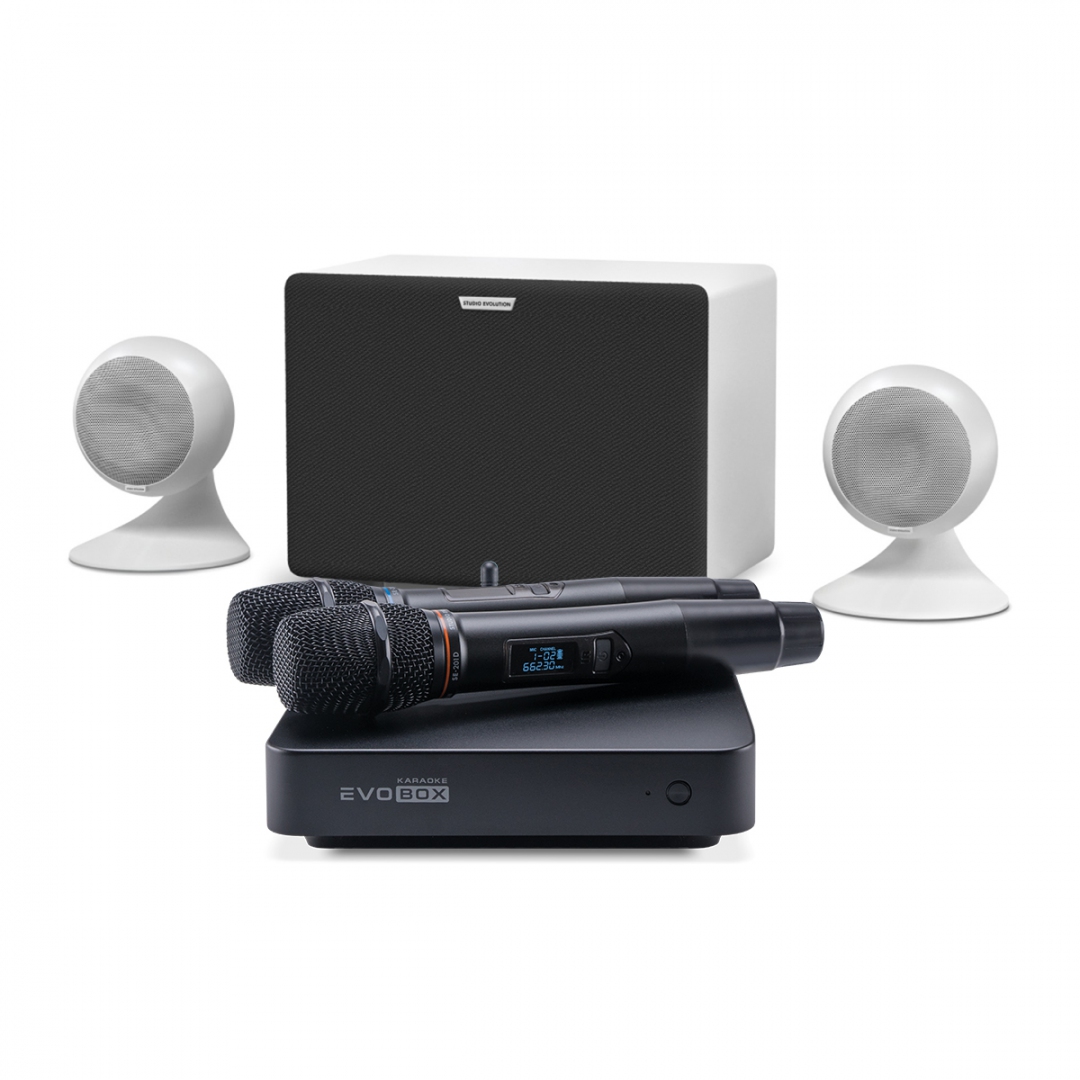 караоке-комплект EVOBOX Classic + EvoSound Sphere 2.1 в Верхнем Уфалее