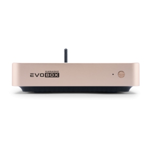 EVOBOX Classic караоке-система для дома в Верхнем Уфалее