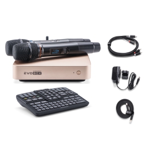 EVOBOX Classic караоке-система для дома в Верхнем Уфалее