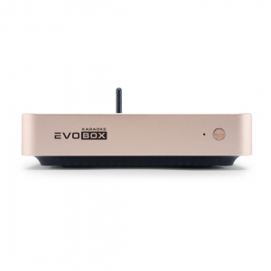EVOBOX Plus караоке-система для дома в Верхнем Уфалее