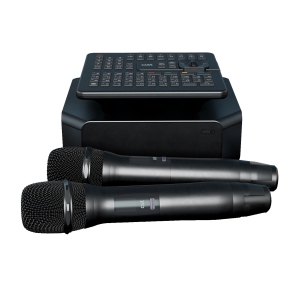 караоке-комплект для Дома AST ZOOM 1/2 и EvoSound Bar (Саундбар с караоке) в Верхнем Уфалее